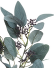 Artificial Seaded Eucalyptus Stem from Hill Interiors, showcasing realistic green eucalyptus leaves with seeded accents in a natural arrangement.