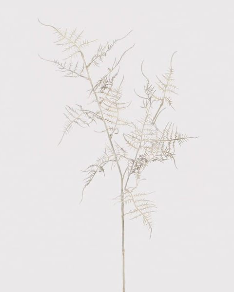 Artificial white asparagus fern spray from Coach House, showcasing realistic white fern leaves and delicate plant detailing.
