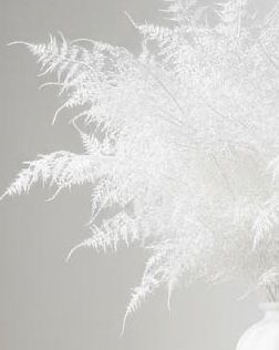 Artificial white asparagus fern spray from Coach House, realistic white fern plant for home decor or floral arrangements.