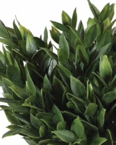 Artificial potted bay plant by Coach House, realistic green foliage in a decorative pot, ideal for home or office decor.