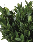 Artificial potted bay plant by Coach House, realistic green foliage in a decorative pot, ideal for home or office decor.