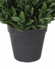 Artificial potted Bay plant from Coach House, lush green faux plant in a decorative pot, perfect for indoor decor.