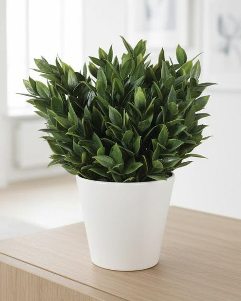 Artificial potted bay plant from Coach House, featuring lush green leaves in a decorative pot for home or office decor.