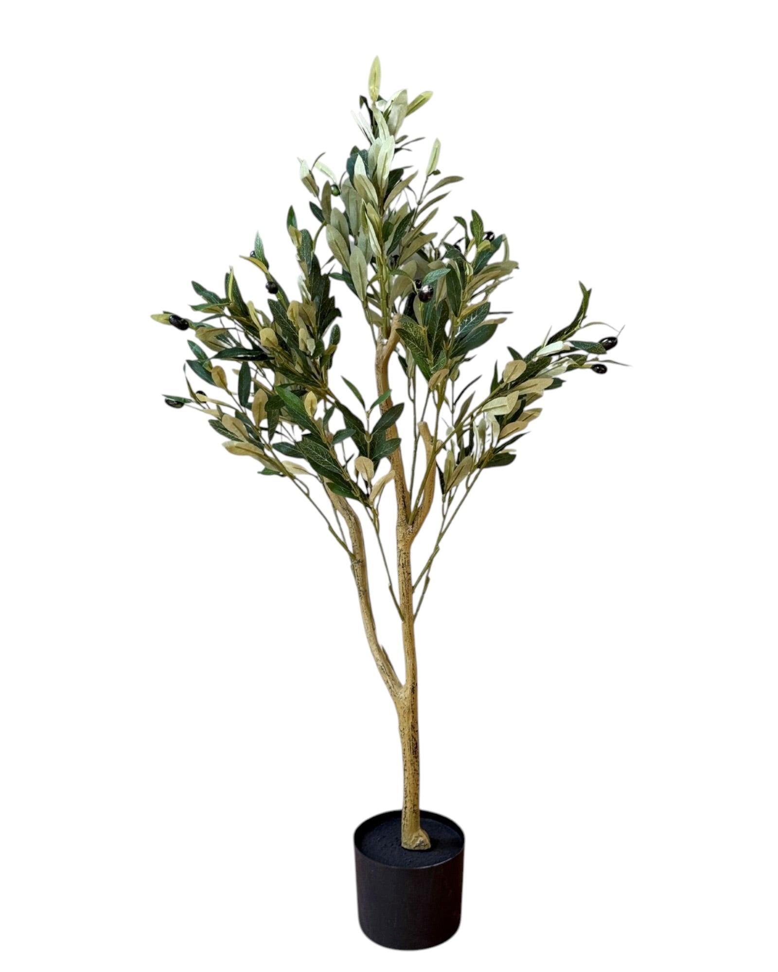 Small artificial faux olive tree from Hill Interiors, Calabria style, showcasing realistic green olive branches in a decorative pot.