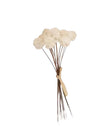 Artificial brown pom pom bunch from Starlight Express, featuring fluffy, decorative faux plants perfect for home decor.