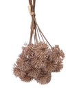 Artificial brown pom pom bunch from Starlight Express, showcasing fluffy, round plant decorations for interior decor.