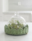 Glass cloche with green scalloped wicker base on footed stand, decorative display dome from Heaven Sends.