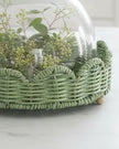 Glass cloche with footed green scalloped wicker base, decorative display cover from Heaven Sends.