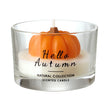 Hello Autumn Candle
