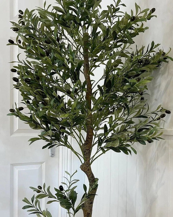 Artificial Potted Olive Tree - Large - Calabria - Faux Plants & FlowersFaux Plants & Flowers - Lulu Loves Home