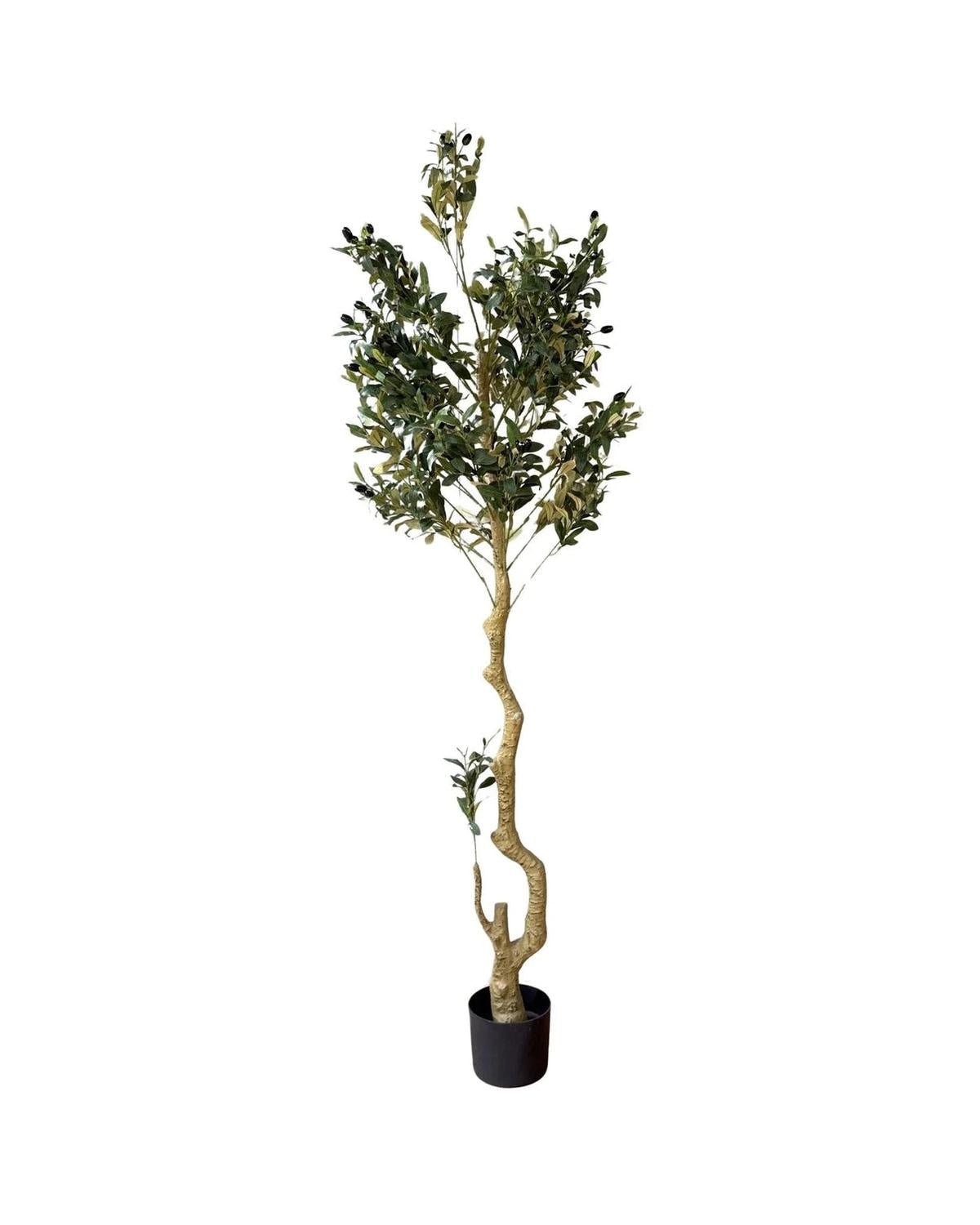 Artificial Potted Olive Tree - Large - Calabria - Faux Plants & FlowersFaux Plants & Flowers - Lulu Loves Home