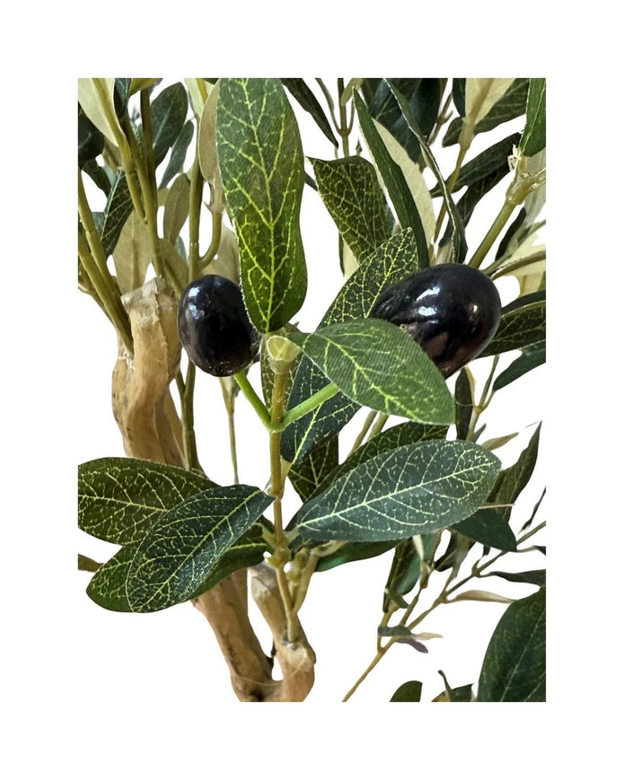 Artificial Potted Olive Tree - Large - Calabria - Faux Plants & FlowersFaux Plants & Flowers - Lulu Loves Home