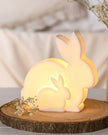 Matt White Ceramic Light Up Bunny