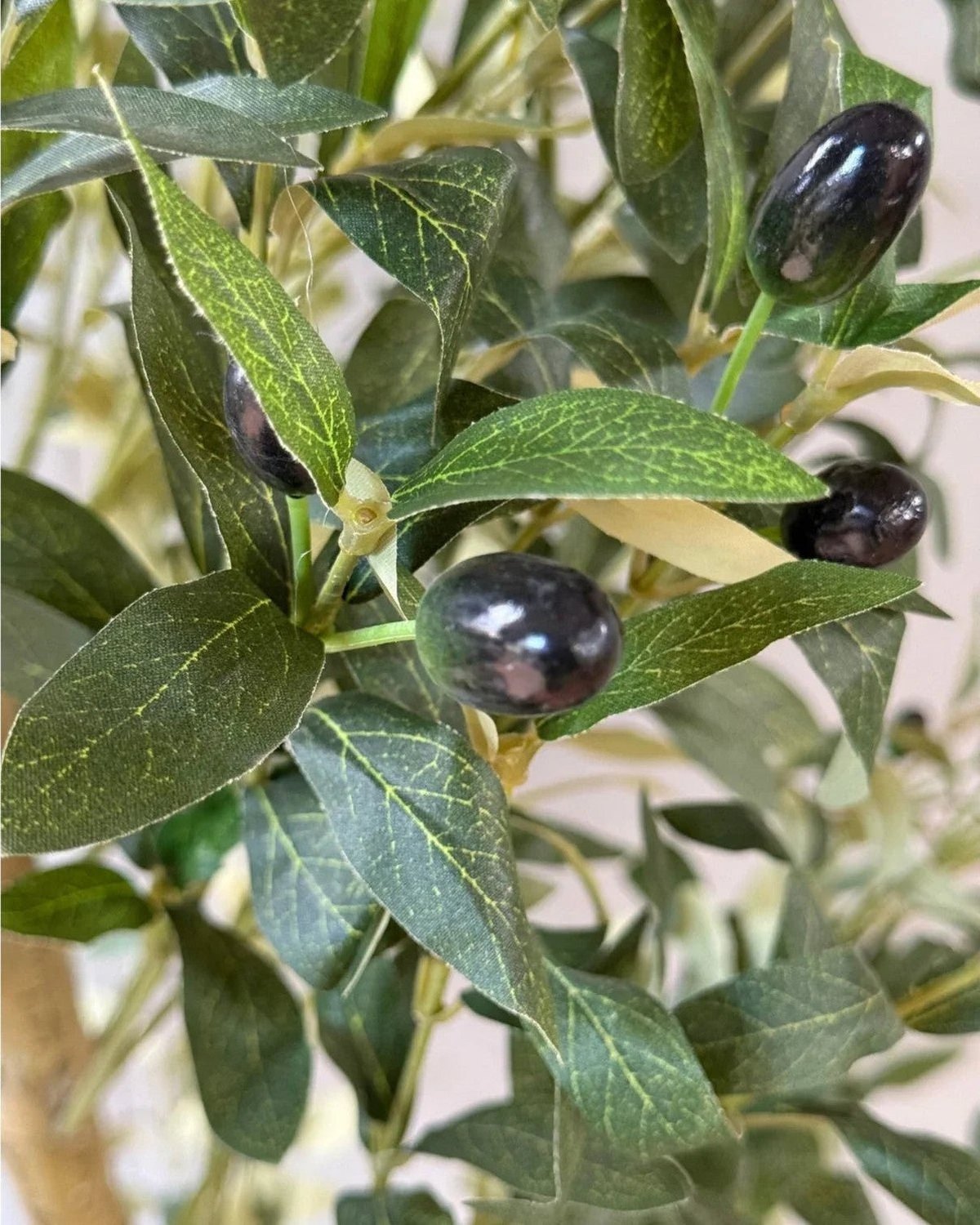 Artificial Potted Olive Tree - Medium - Calabria - Faux Plants & FlowersFaux Plants & Flowers - Lulu Loves Home