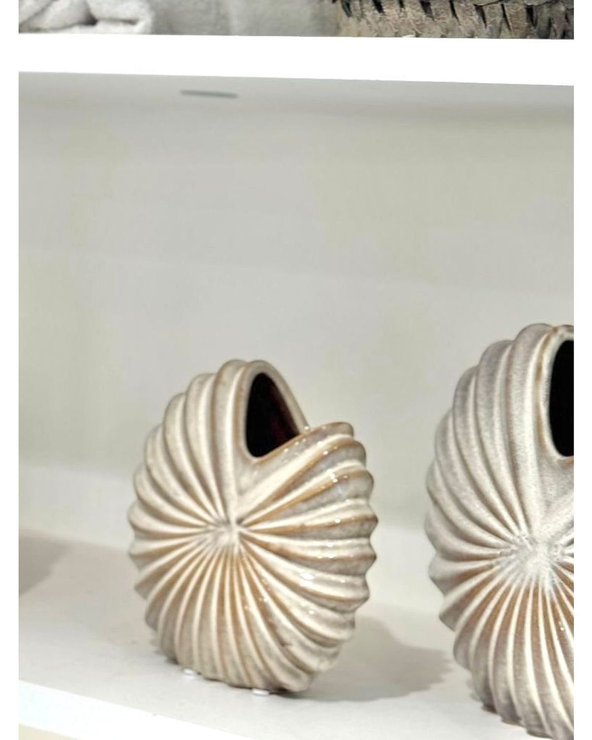 Neutral Spiral Shell Vase