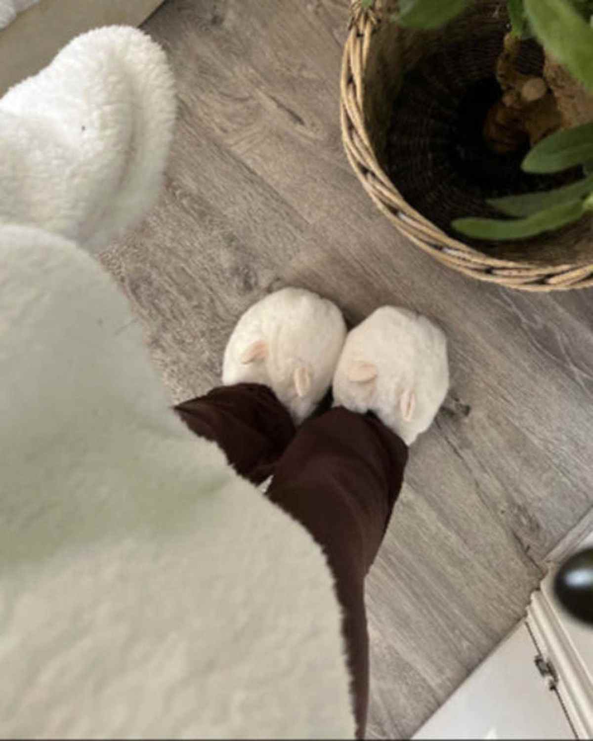 Oversized Cream Faux Fur Bunny Rabbit Slippers - Lulu Loves Home Lulu Loves Home 