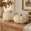 Cream looped pumpkin with wooden stem, autumn decorative pumpkin from Heaven Sends, ideal for fall home decor.