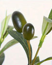 Mini artificial olive branch from Starlight Express with realistic green leaves, ideal for decorative plant arrangements.