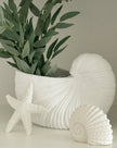 Large white matte shell vase by Heaven Sends, showcasing its smooth, shell-like design and elegant white finish.
