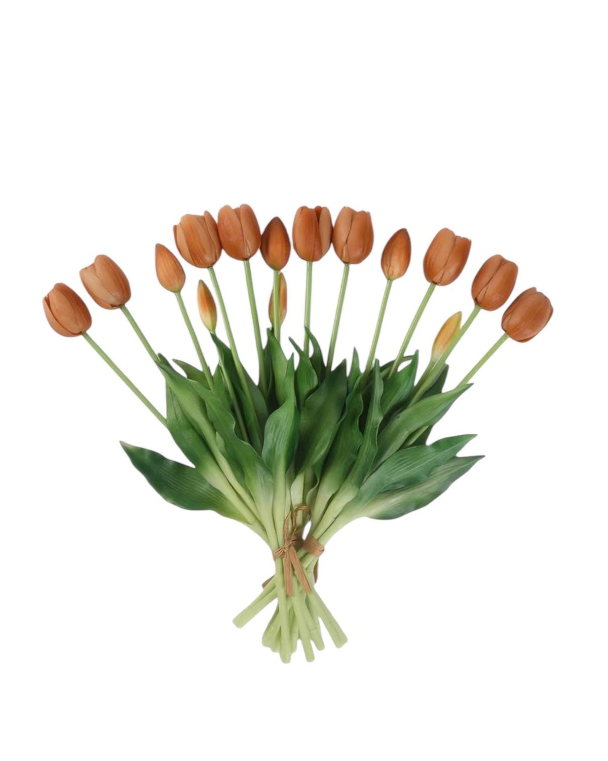 Peach Spring Tulips Stems - Bunch Of Five