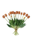 Peach Spring Tulips Stems - Bunch Of Five