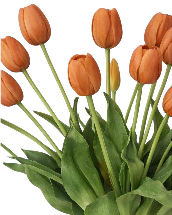 Peach Tulip Stems - Bunch of 5 Artificial Spring Flowers
