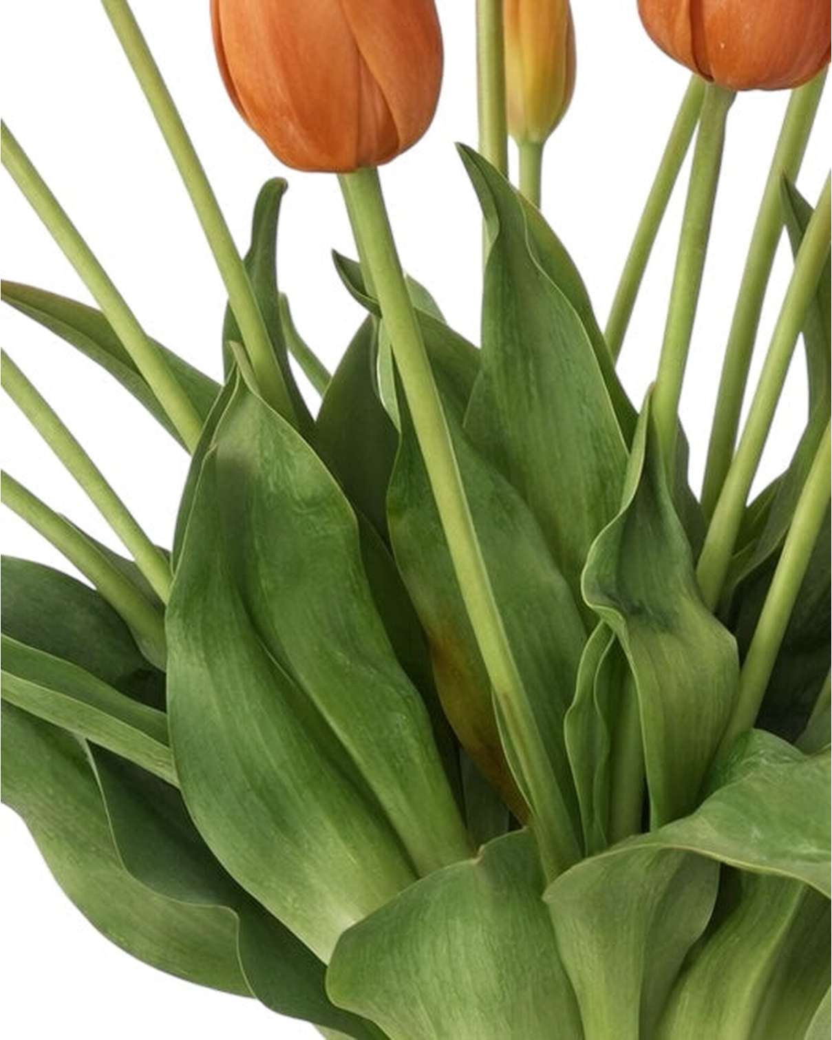 Peach Tulip Stems - Bunch of 5 Artificial Spring Flowers