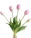 Pink Spring Tulip Stems - Bunch Of Five