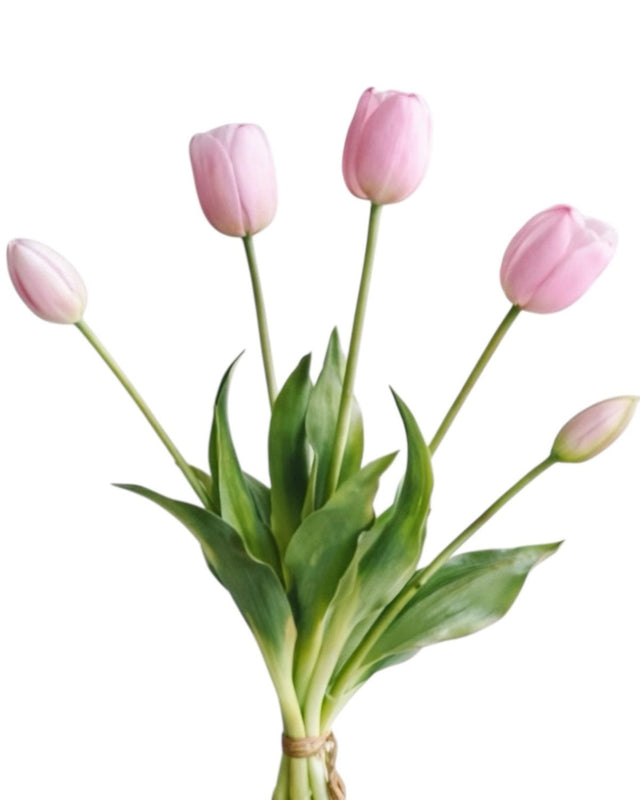 Pink Spring Tulip Stems - Bunch Of Five
