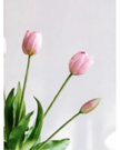 White Spring Tulip Stems - Bunch of Five- Lulu Loves  Lulu Loves Home 