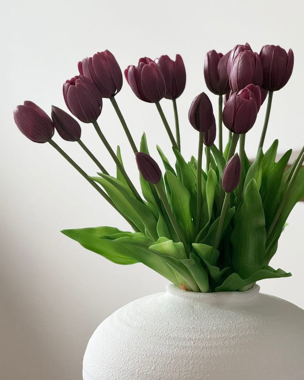 Plum Spring Tulip Stems - Bunch Of Five