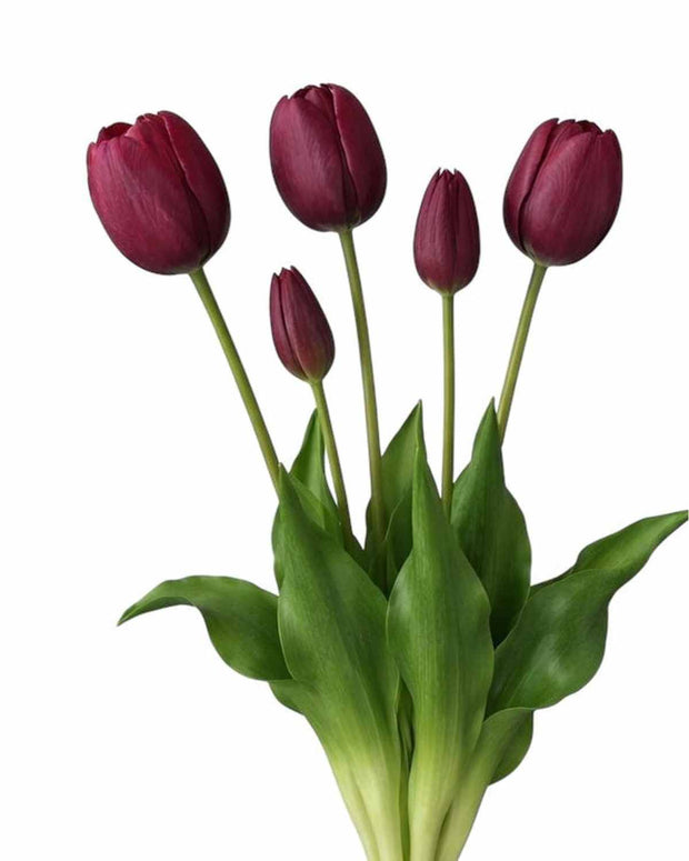 Plum Tulip Stems - Bunch of 5 Artificial Spring Flowers