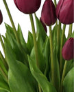 Plum Tulip Stems - Bunch of 5 Artificial Spring Flowers