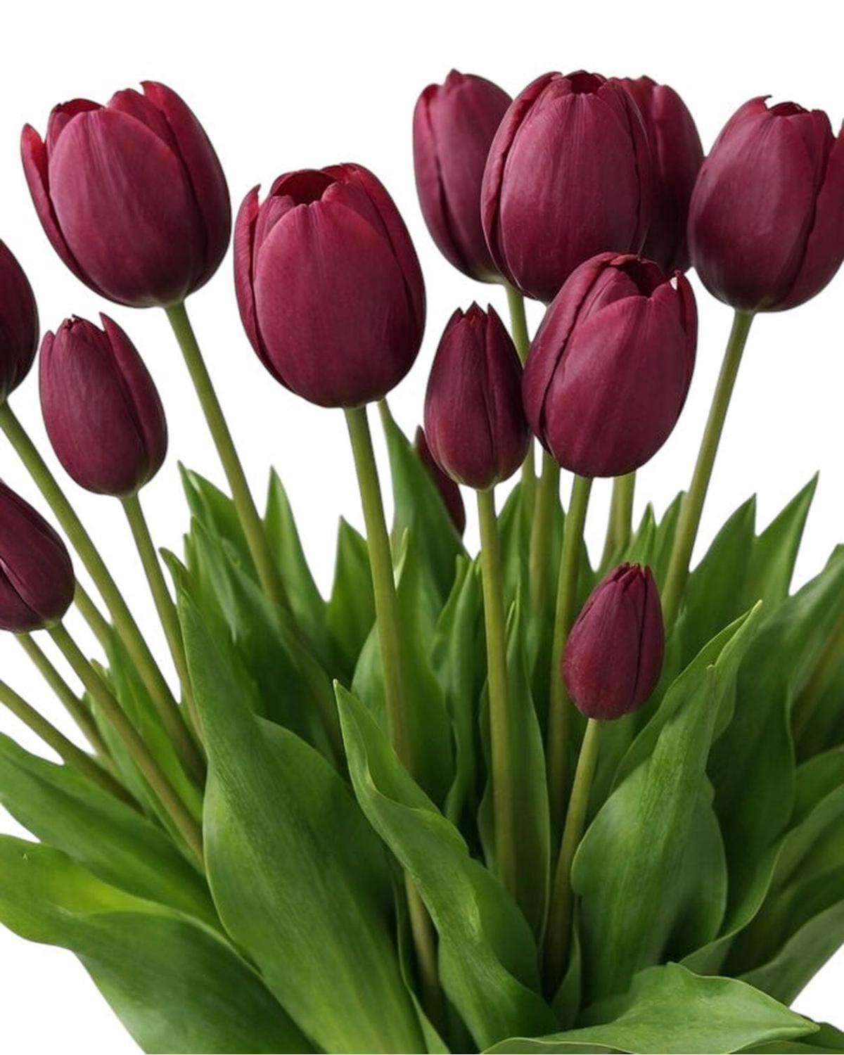 Plum Tulip Stems - Bunch of 5 Artificial Spring Flowers