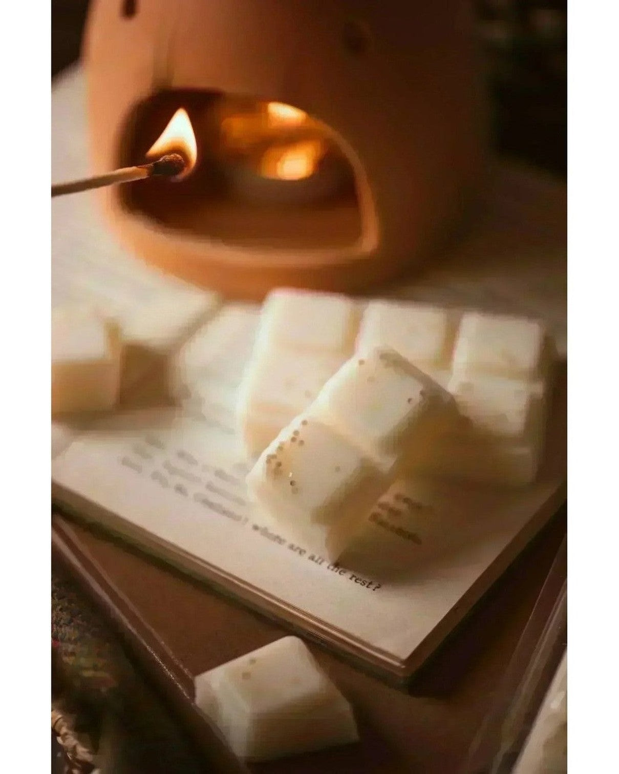 Scented Wax Melt Snap Bar - Gingerbread Latte