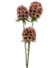 Single Scabiosa Stellata Stem - Pink