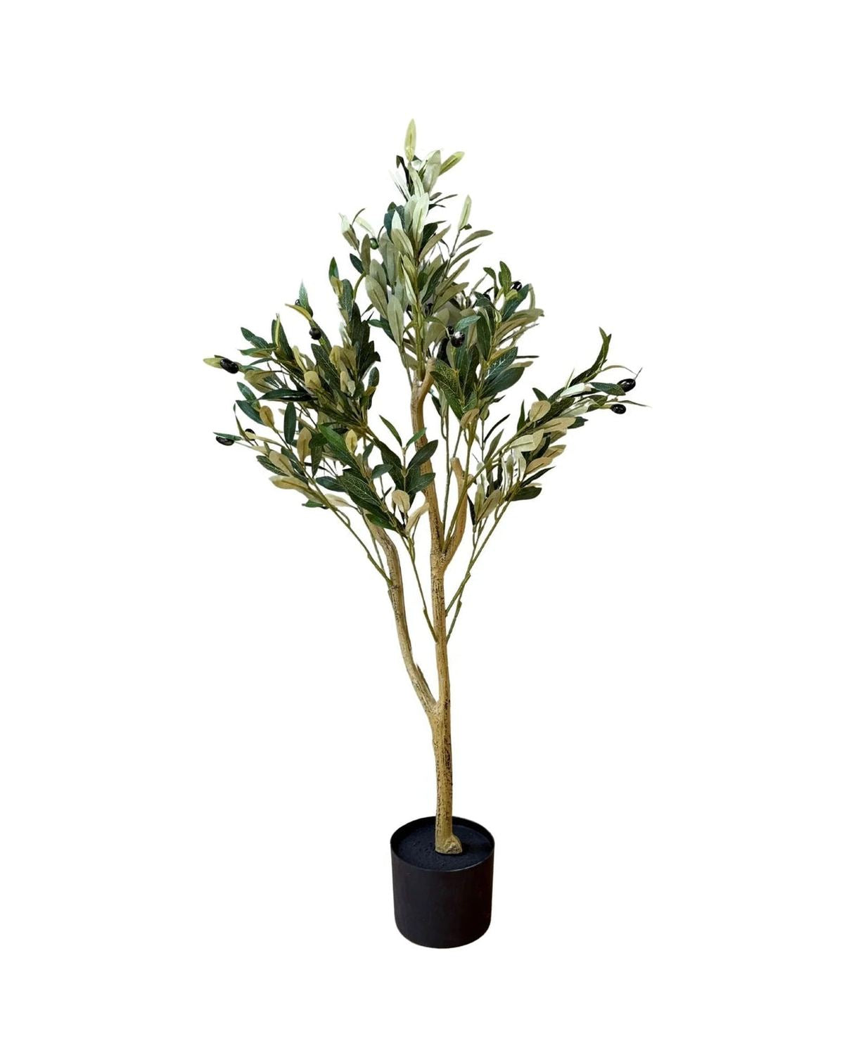 Artificial Potted Olive Tree - Small - Calabria - Faux Plants & FlowersFaux Plants & Flowers - Lulu Loves Home