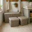Rattan Wicker Lidded Storage Trunk