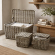 Rattan Wicker Lidded Storage Trunk