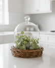 Glass cloche on wicker base, decorative home décor piece by Heaven Sends, showcasing a clear glass dome over a woven wicker stand.