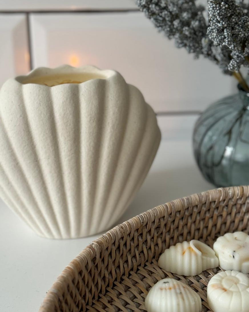 Sea Shell Matte Ceramic Oil Burner and Wax Warmer