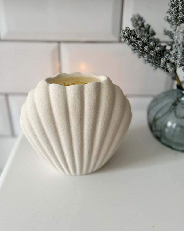 Sea Shell Matte Ceramic Oil Burner and Wax Warmer