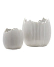 White Ceramic Ribbed Egg Plant Pots - Set Of Two - Lulu Loves Home Lulu Loves Home 