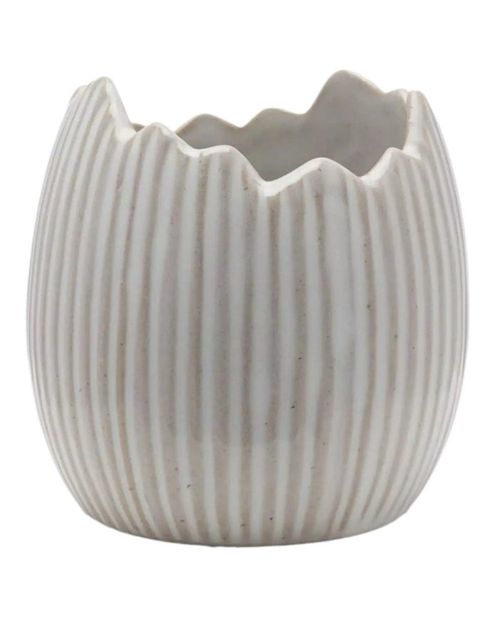 White Ceramic Ribbed Egg Plant Pots - Set Of Two - Lulu Loves Home Lulu Loves Home 