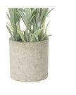 White Lavender Flower In Stone Pot