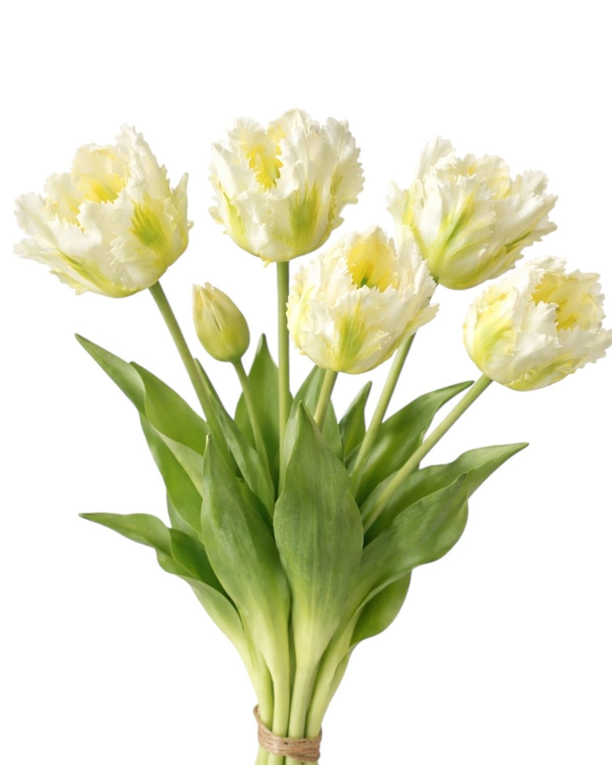 White Parrot Tulip Stems - Bunch of 5 Luxury Artificial Flowers