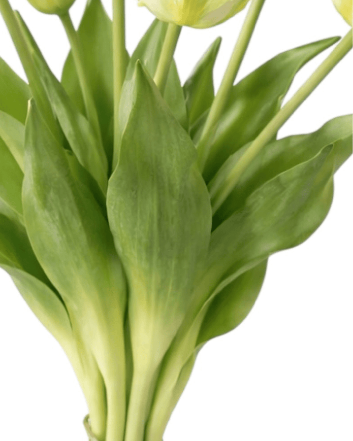 White Parrot Tulip Stems - Bunch of 5 Luxury Artificial Flowers