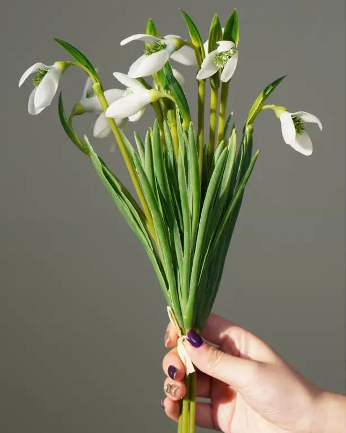 White Spring Snowdrop Stems - Bunch Of Five - PRE ORDER TWO WEEK DELIVERY