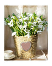 White Spring Snowdrop Stems - Bunch Of Five - PRE ORDER TWO WEEK DELIVERY