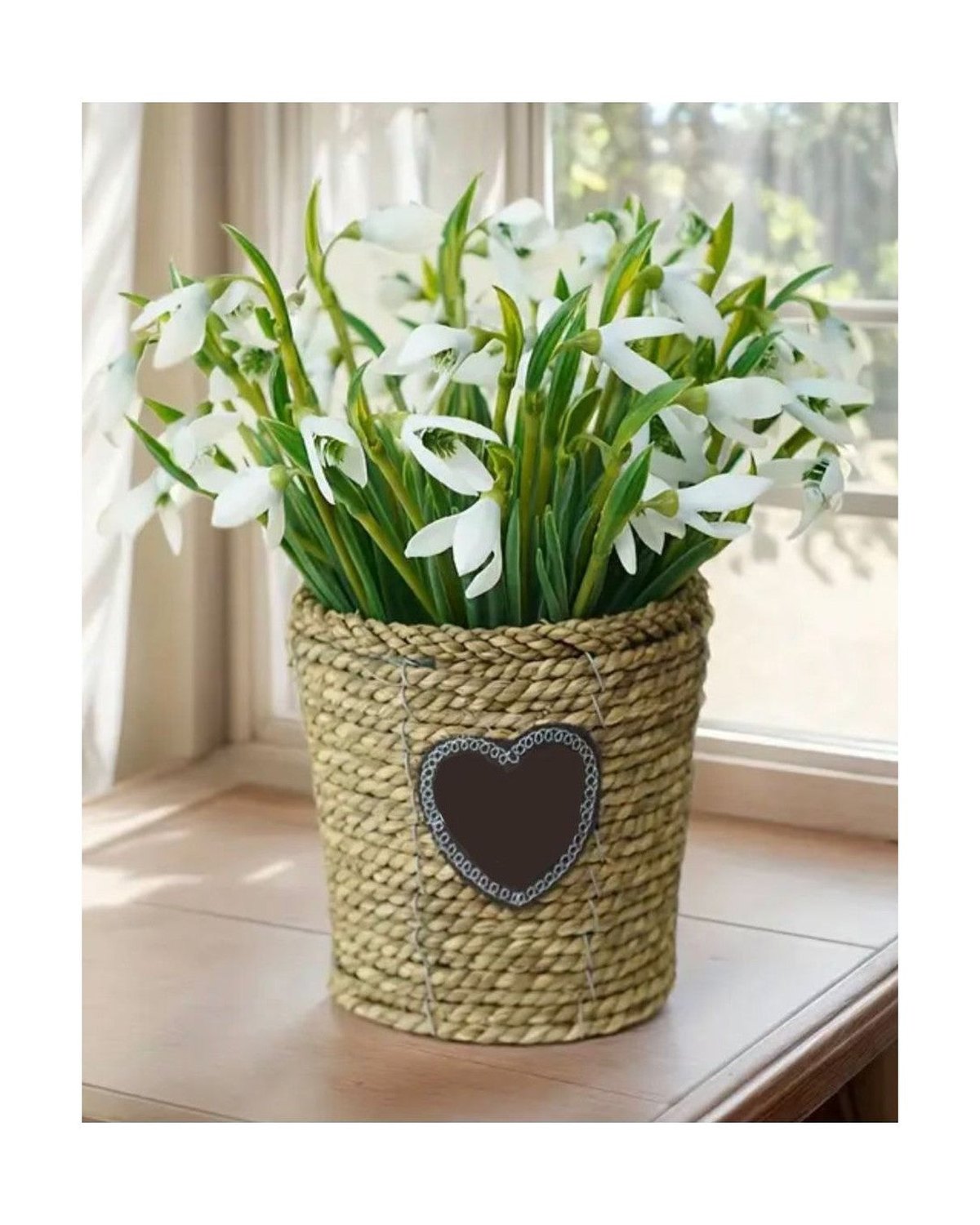 White Spring Snowdrop Stems - Bunch Of Five - PRE ORDER TWO WEEK DELIVERY